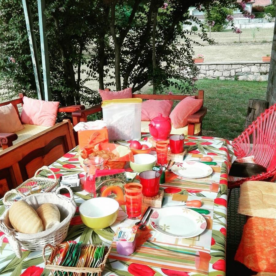 B&B Il Tempo Del Sogno Con Cani E Gatti Pet&Breakfast Baveno Ngoại thất bức ảnh