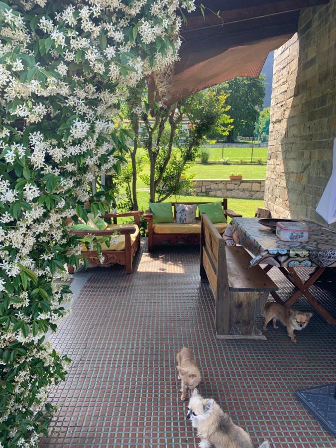 B&B Il Tempo Del Sogno Con Cani E Gatti Pet&Breakfast Baveno Ngoại thất bức ảnh