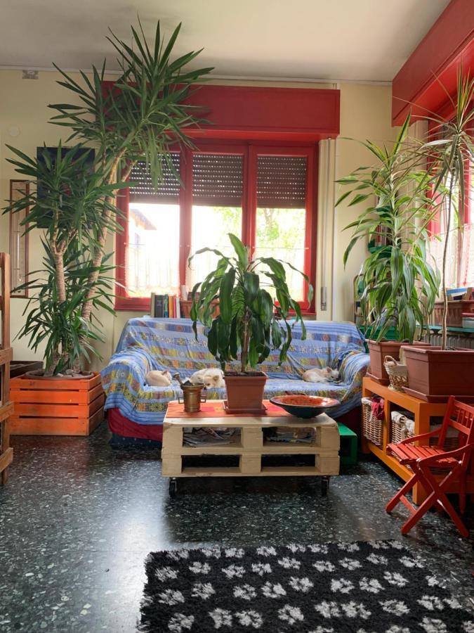 B&B Il Tempo Del Sogno Con Cani E Gatti Pet&Breakfast Baveno Ngoại thất bức ảnh