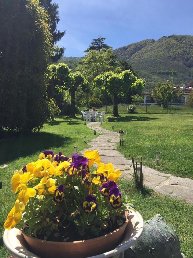 B&B Il Tempo Del Sogno Con Cani E Gatti Pet&Breakfast Baveno Ngoại thất bức ảnh